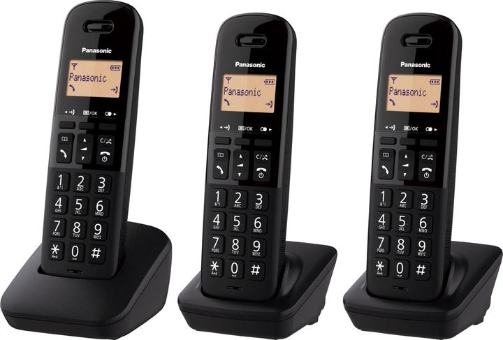 Actual product image Panasonic KX-TGB613JTB