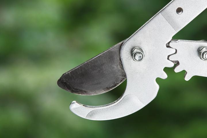 Actual product image Verto 256 Branch shears bypass