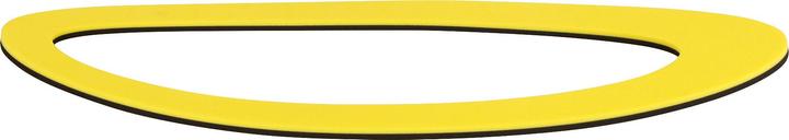 Sport-Thieme Aqua Balance Ellipse