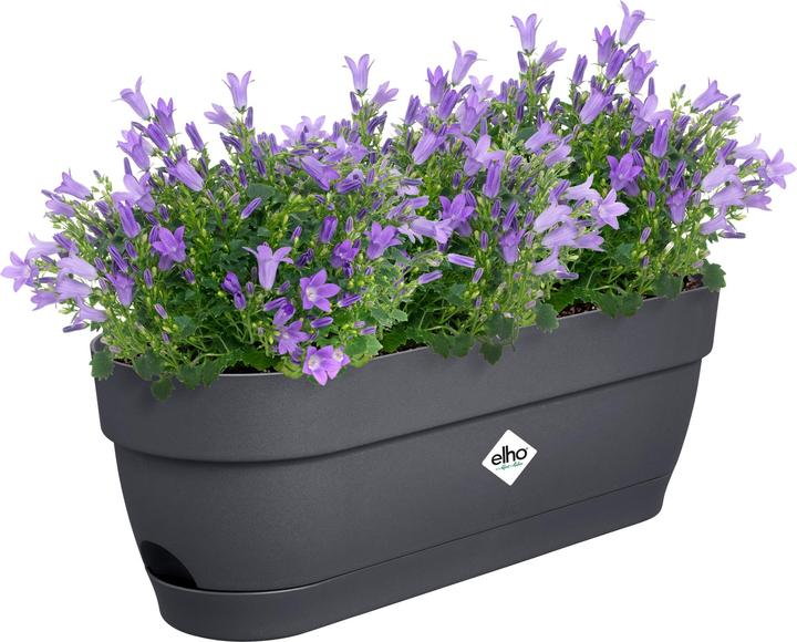 Immagine prodotto Elho Balkonkasten Vibia Campana 49x18.2x17 cm (18.20 cm)