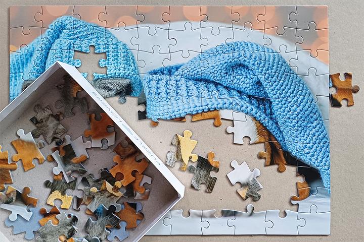 Actual product image Selecta Spielzeug Cute kitten and sleepy dog jigsaw puzzle, 100 pieces. (100 pieces)