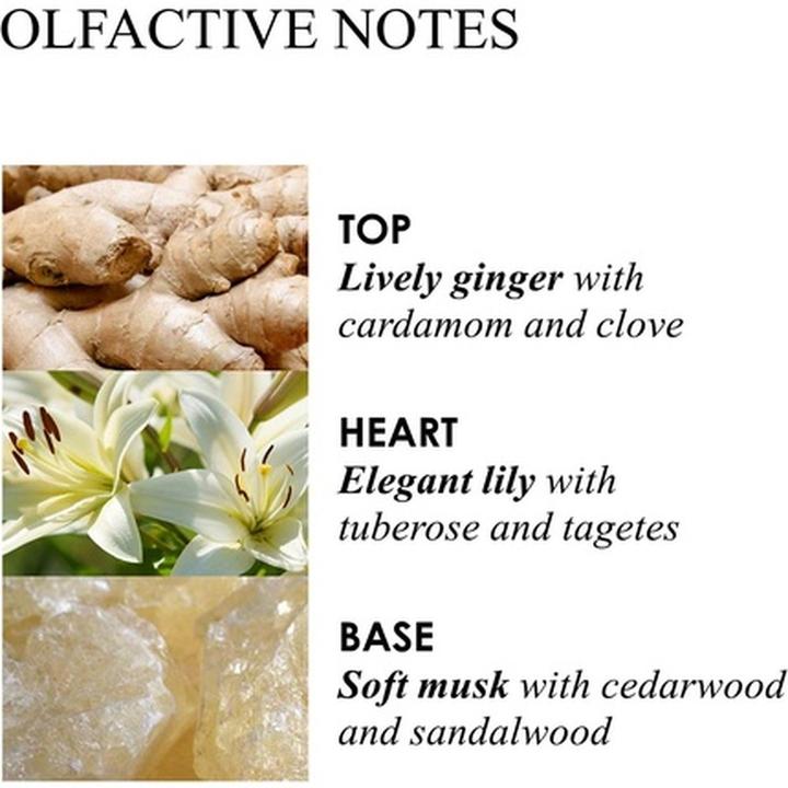 Actual product image Molton Brown Bath Body Gingerlily Hand Lotion 300 ml (300 ml)