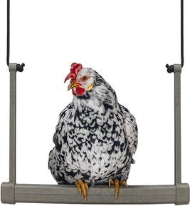 Image du produit Beeztees Mangeoire pour poules Balançoire, Gris