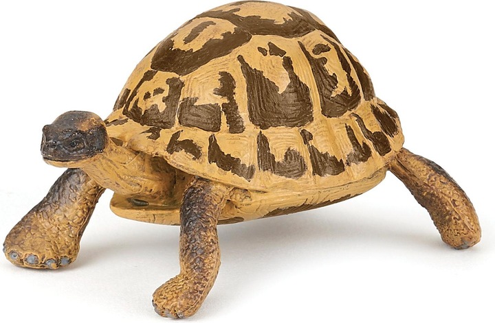 Actual product image Papo Hermann's turtle
