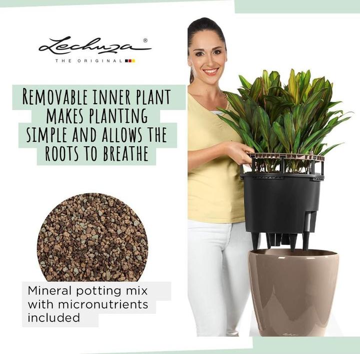 Image du produit Lechuza Classico (43.50 x 39.50 cm)