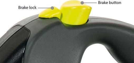 Immagine prodotto Flexi Gigante (M, Cane, Passeggiare)