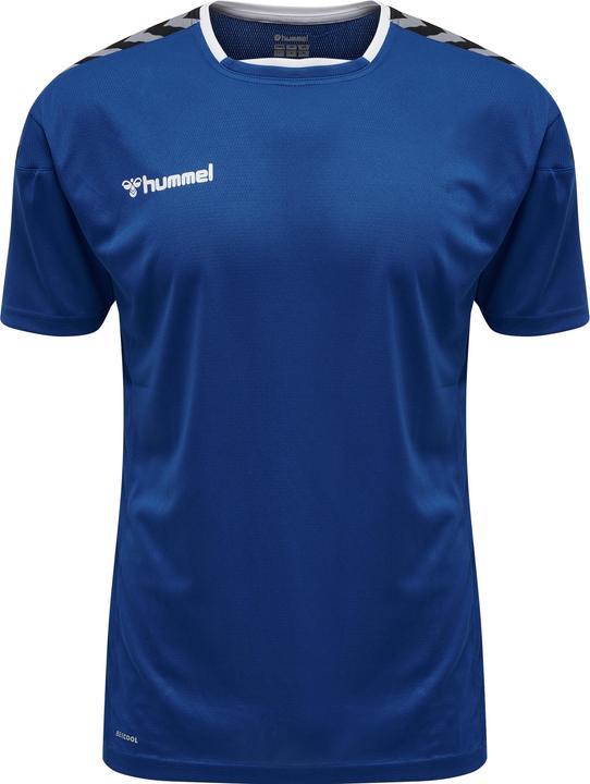 Actual product image hummel Authentic Poly Jersey S/S (S)