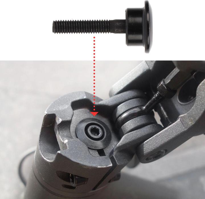 Actual product image Avizar Fork mounting bolt