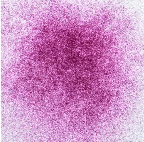 Produktbild Glorex Samtpulver 11 g, Pink