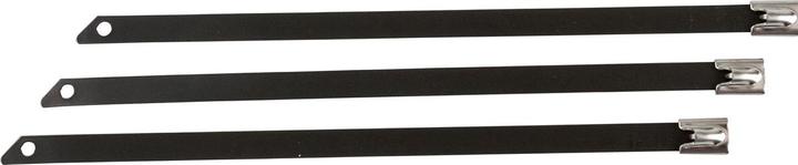 Actual product image Brady Cable tie (201 mm, 100 pcs.)