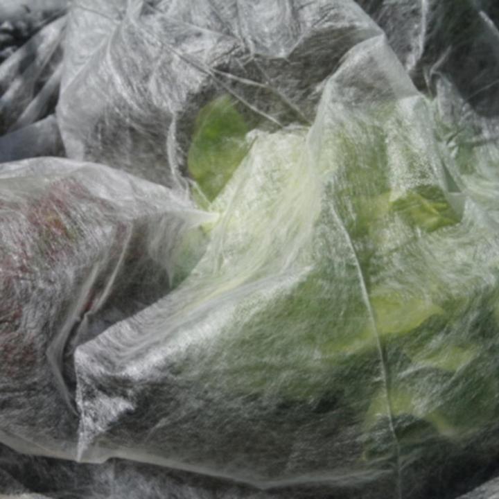 Image du produit Siena Garden Non-tissé de croissance écologique PLA 5x1,5m, 18g, blanc