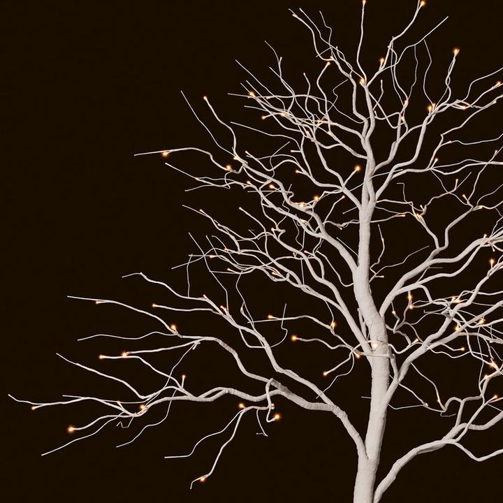 Actual product image STT Fairy tale