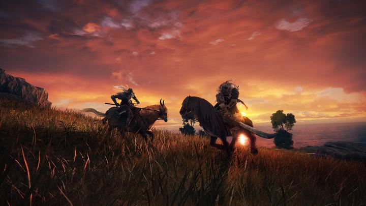 Produktbild Bandai Namco Elden Ring Standard Edition (PS4)