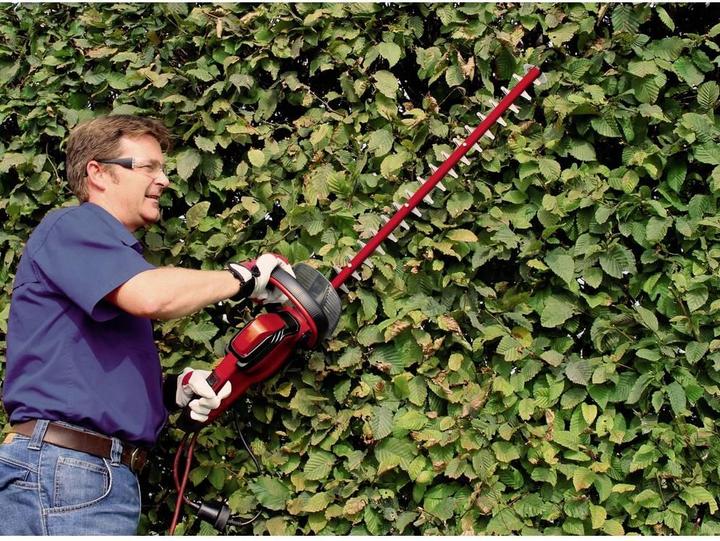 Actual product image Einhell Gc-Eh 6055/1 (Electrical connection)