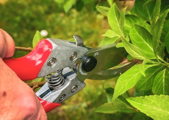 Productafbeelding ARS Nikkel VS -9xz - 25 mm