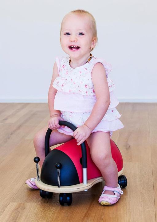 Image du produit Wheely Bug Coccinelle petite
