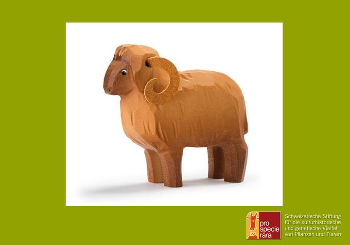 Produktbild Trauffer Walliser Landschaf