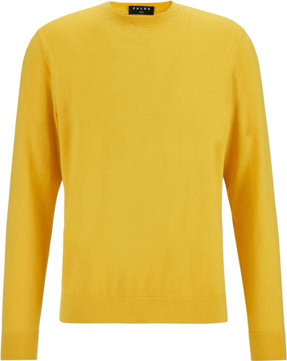 Falke Herren Pullover (S)