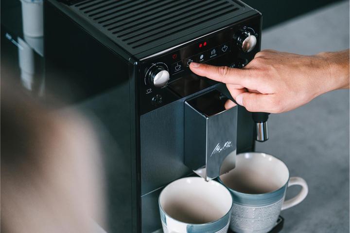 Actual product image Melitta Avanza