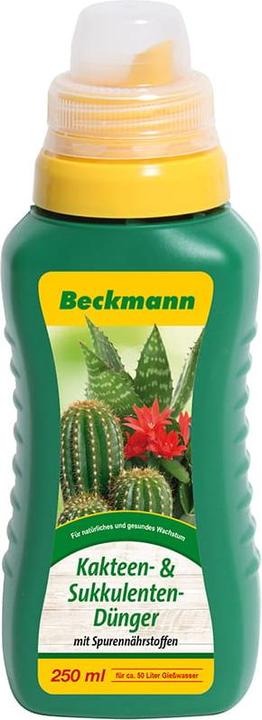 Beckmann Kakteen- & Sukkulentendünger (0.25 l)