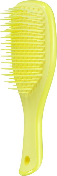 Actual product image Tangle Teezer The Mini Ultimate Detangler Hairbrush Gentle on Wet Hair Two-Tiered Teeth Comfortable