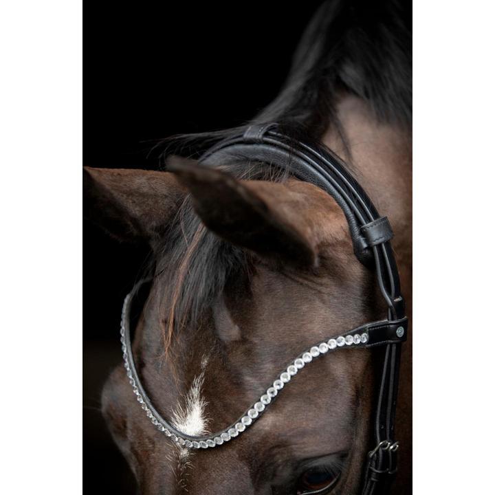 Image du produit Catago Gentle