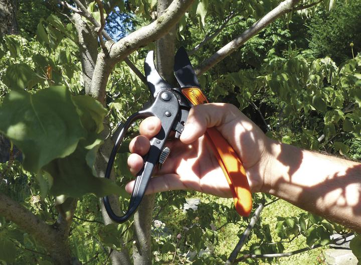 Produktbild Garten Primus Ratschenschere