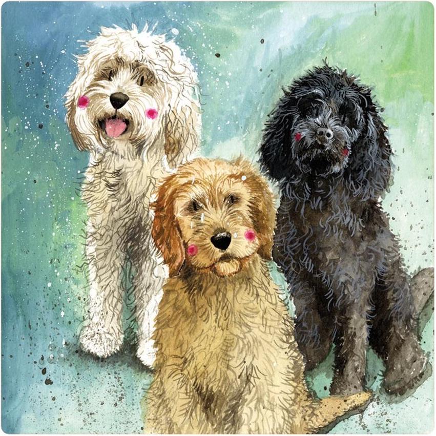 Teka, Magneti, Magnet FM229 Cockapoo-Hunde