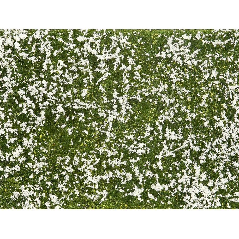 Noch Copertura del terreno Fogliame Prato 12 x 18 cm