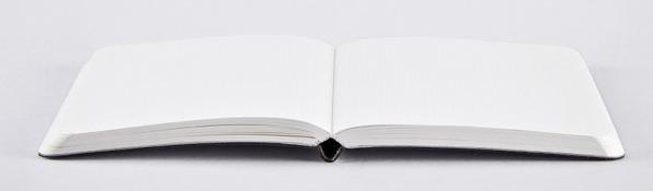 Image du produit Nuuna Shiny Starlet S, argent (15 x 10.8 cm, Pointillés, Couverture souple)