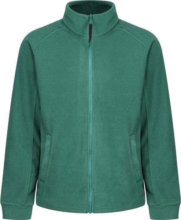 vert bouteille