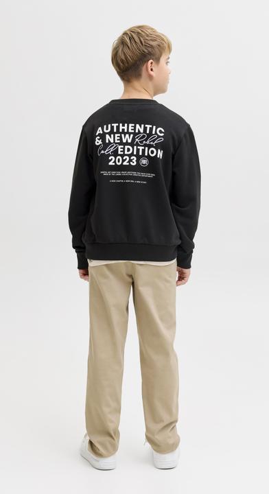 Produktbild Jack & Jones Jrebhayden Crew Neck Sweat Sn Jnr (128)