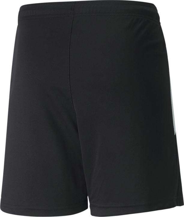 Actual product image Puma teamLIGA Shorts Jr-704931 (128)