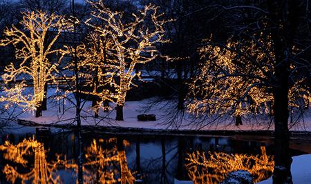 Produktbild Star Trading Lichterkette (3 m)