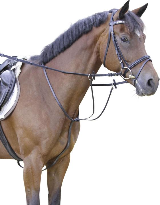 Actual product image Kerbl Martingale