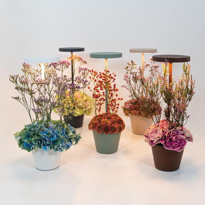 Image du produit Zafferano Poldina Reservo (262 lm, IP54)