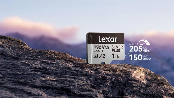 Actual product image Lexar Professional Silver Plus (256 GB, microSDXC, U3, UHS-I)