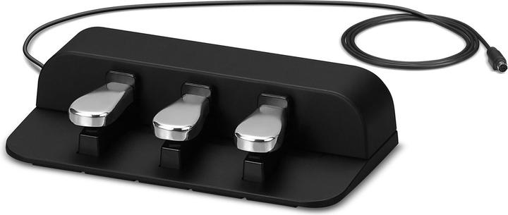 Actual product image Casio SP-34 (Keyboard Pedal)