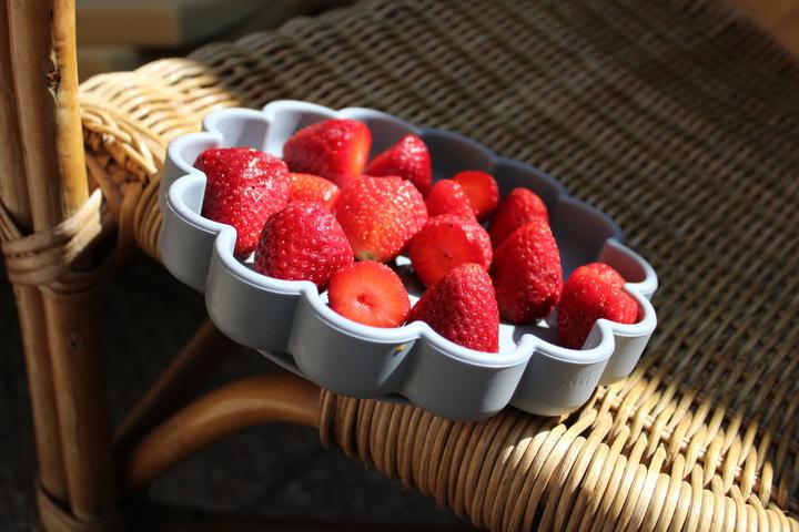 Immagine prodotto Soina Eden