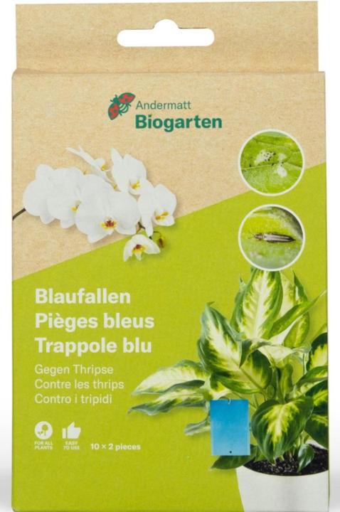 Actual product image Andermatt Biogarten Blueballs