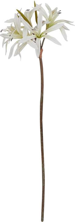 Immagine prodotto Hill Interiors Kunstblume (61 cm)