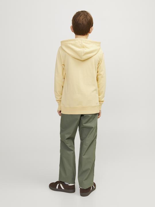 Actual product image Jack & Jones Jorcobin Sweat Hood Jnr (176)