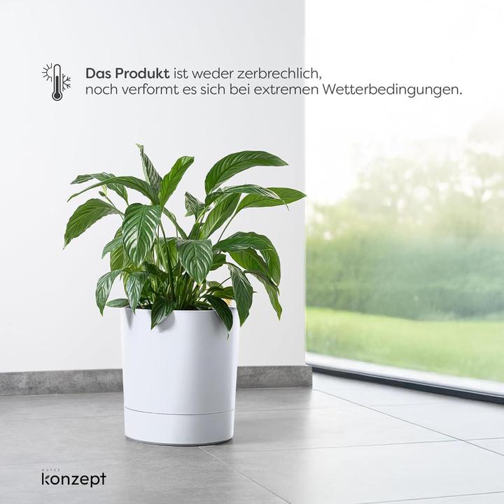 Produktbild Konzept Grosser Blumentopf mit Untersetzer