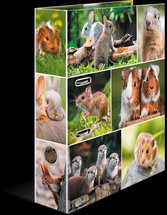 Tiermotiv, Multicolored, Nagetiere
