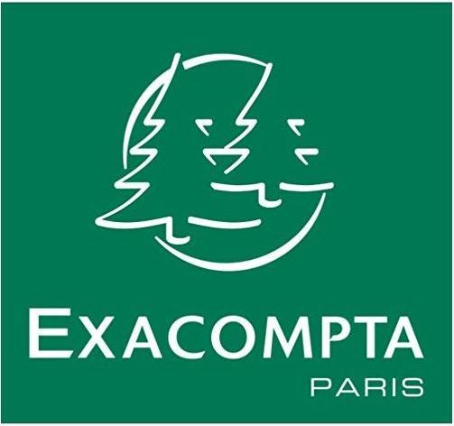Image du produit Exacompta Fiches (55 x 74 mm, 205 g/m², 100 x)
