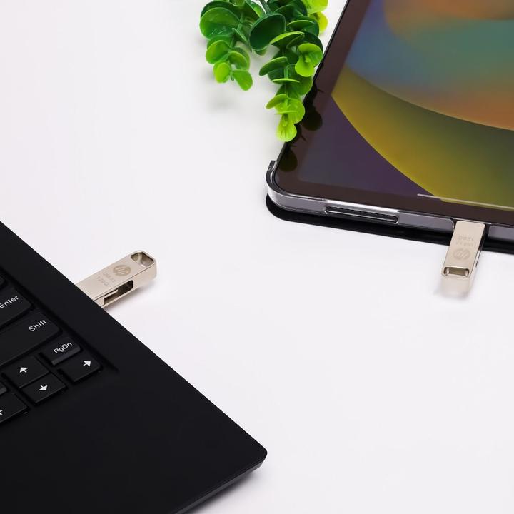 Produktbild HP 64GB x206c OTG Type-C Metal Flash Drive (64 GB, USB-A, USB-C)