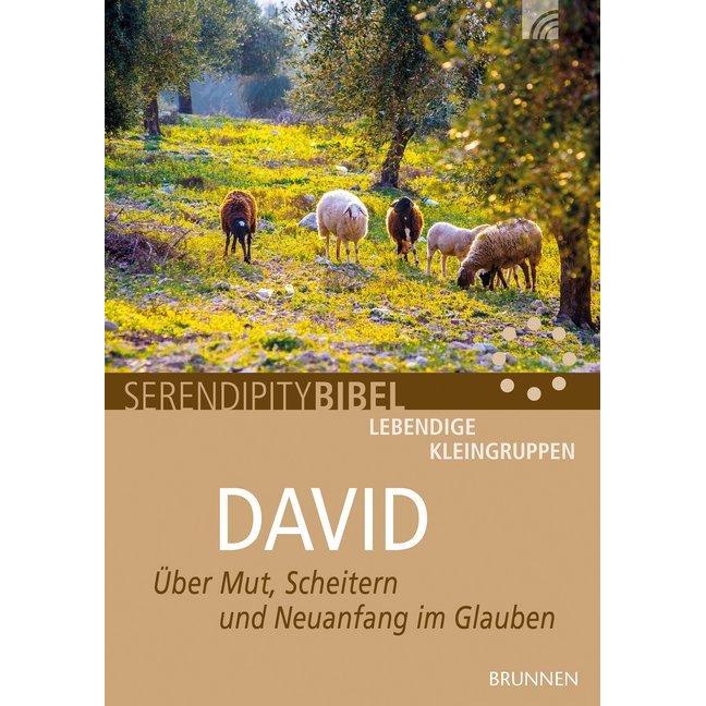 David, Fachbücher von Matthias Clausen
