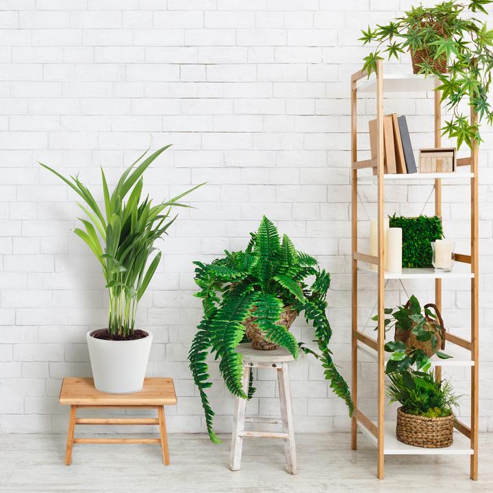 Image du produit Relaxdays Fussbank