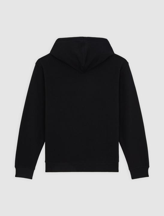 Produktbild Dickies Lewistown Hoodie Black (L)