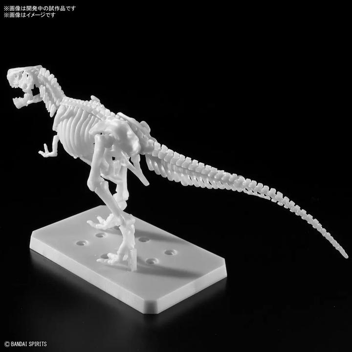 Produktbild Bandai PLANNOSAURUS - Tyrannosaurus (Painting Version) - Model Kit